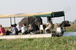 Boot an Elefant