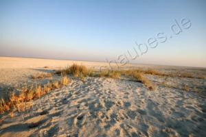 Ausflug in die Makgadikgadi-Salzpfanne