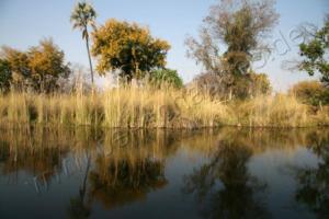 Okavango Delta