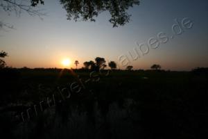 Sonnenaufgang im Delta