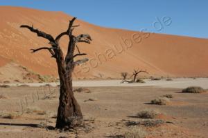 Hidden Vlei