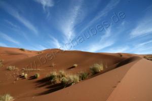Dünenausläufer im NamibRand-Gebiet