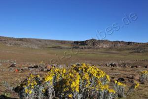 Bale Mountains National Park  