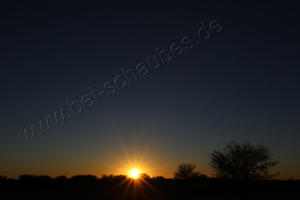 Sonnenuntergang auf Rooiputs 