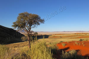 NamibRand - ein klassisches Bild