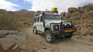 Landy in natürlicher Umgebung        