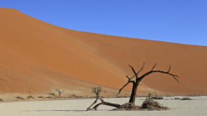 Hidden Vlei             