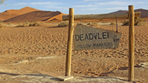 Auf zum Dead Vlei            