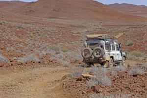 Landy in der Landschaft       