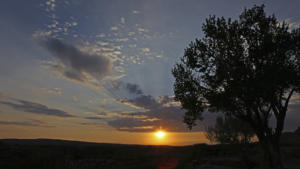 Sonnenuntergang auf Steinfeld        