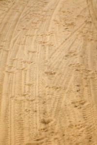 Spuren im Sand          