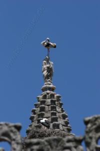 Ávila: Storch auf der Kathedrale