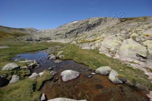 die Sierra de Gredos 2