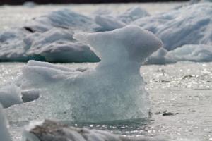 Eisvogel mal anders