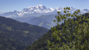 Der Mont Blanc  
