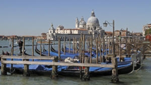 Blick auf Santa Maria della Salute         