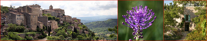 Provence2008_Bild1