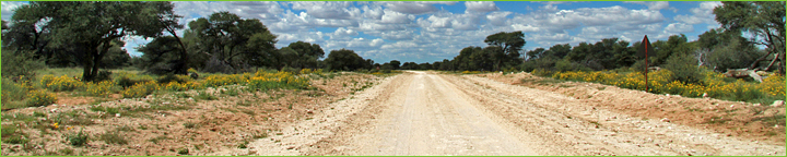 Reisebericht Namibia & Botswana 2010: endlose Straße