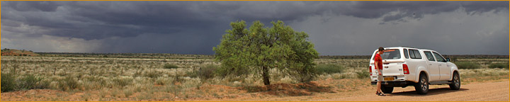 Gewitterwolken über der Kalahari