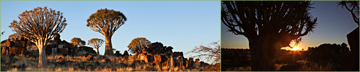 Reisebericht unserer Namibia-Tour 2011