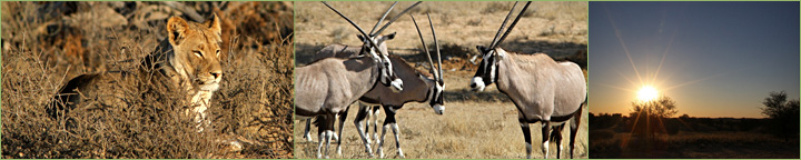 Reisebericht unserer Namibia-Tour 2011