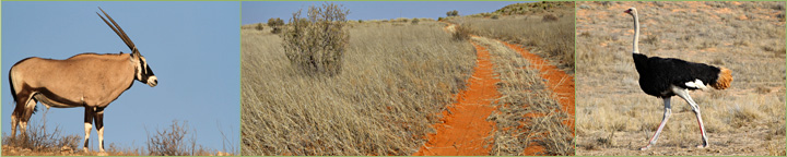 Reisebericht unserer Namibia-Tour 2011