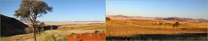 Reisebericht unserer Namibia-Tour 2011