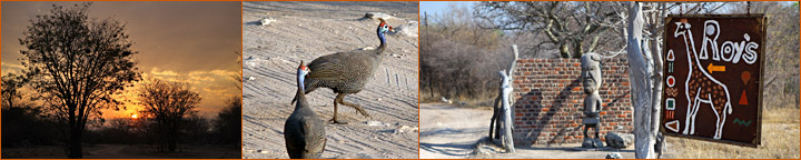 Reisebericht Namibia Botswana Roy's Rest Camp