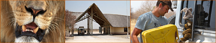 Reisebericht Namibia Botswana Central Kalahari