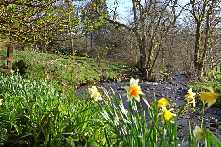 Im Garten von Finglen House bei Glasgow