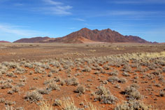 Unterwegs entlang der Namib