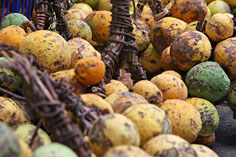Früchte auf dem Markt in Stone Town, Sansibar