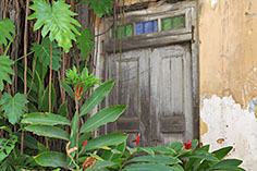 Tür in Stone Town, Sansibar