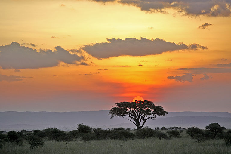 Sonnenuntergang in der Serengeti, Tansania