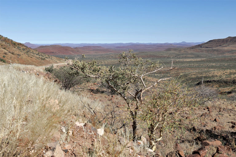 Aussicht vom Grootberg Pass, Namibia im Mai 2021