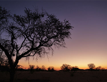 Sonnenuntergang Camp Madisa, Namibia im Mai 2021