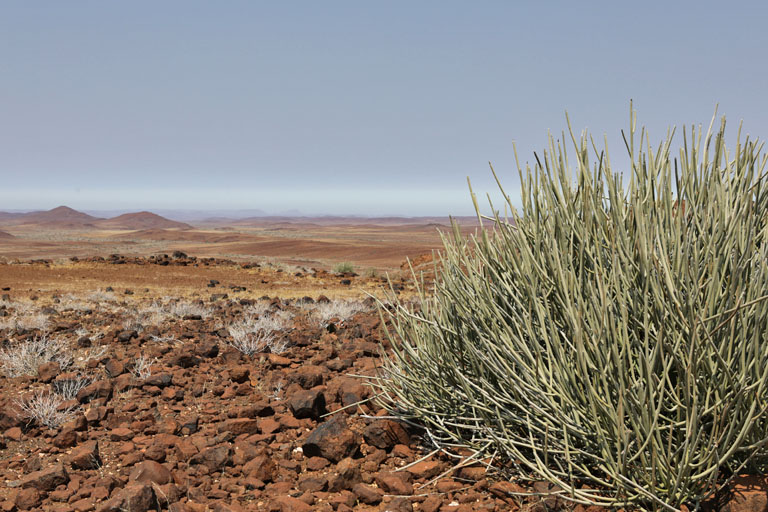 weite landschaft in der palmwag concession, namibia