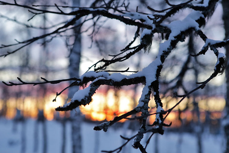 lichtstimmung zur daemmerung in kiruna, schweden, dezember 2021