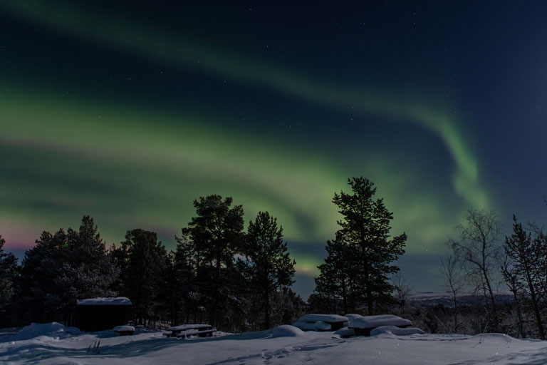 nordlicht aurora borealis in gruen und violett, kiruna. schweden, dezember 2021