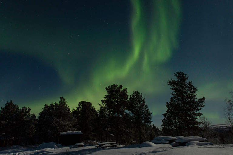 aurora borealis, ein gruener vorhang aus nordlicht, kiruna, schweden, dezember 2021