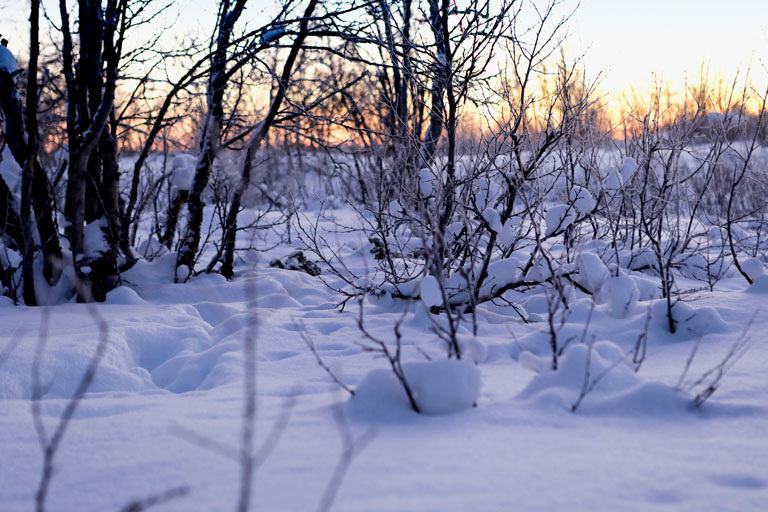 verschneite landschaft in kiruna, schweden, dezember 2021
