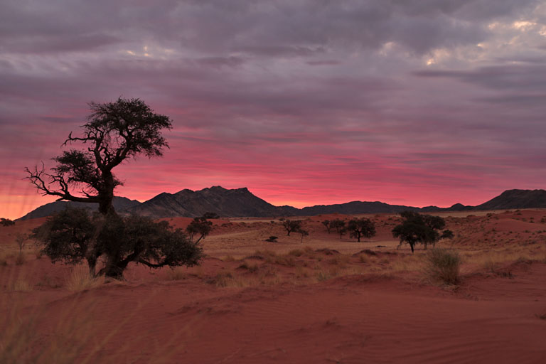 sonnenuntergang in pink, namib rand, camp jupiter, namibia september 2022