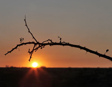 sunset auf mount d'urban, namibia, oktober 2022