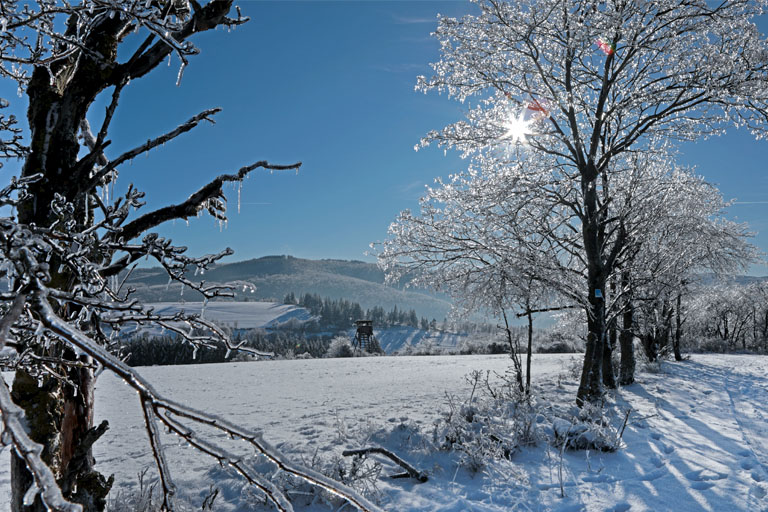 winter wonderland im rheingau, wisper-trail via monte preso, januar 2024