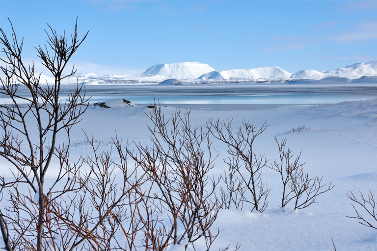 winterlich-eisige landschaft am mývatn-see, island, märz 2024