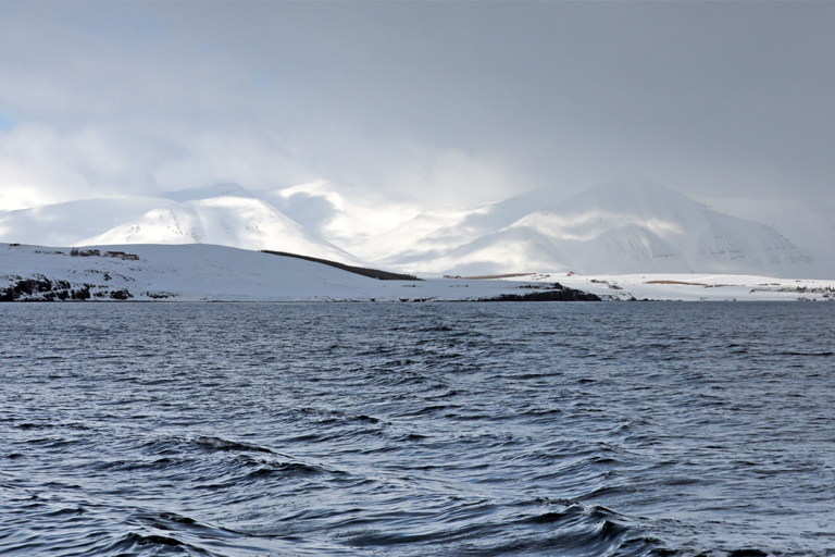 eisige landschaft beim whale watching in island, märz 2024