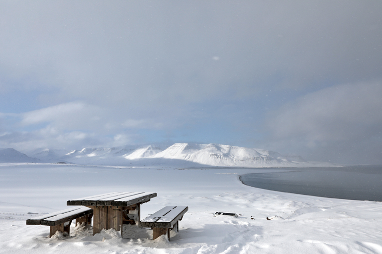 aussichtspunkt am fjord, island, märz 2024