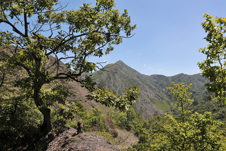 wanderung bei nika vacheishvili, landschaft, ateni, georgien, mai 2024