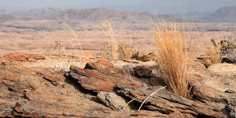 landschaft auf namib's valley of a 1000 hills, namibia, september 2024