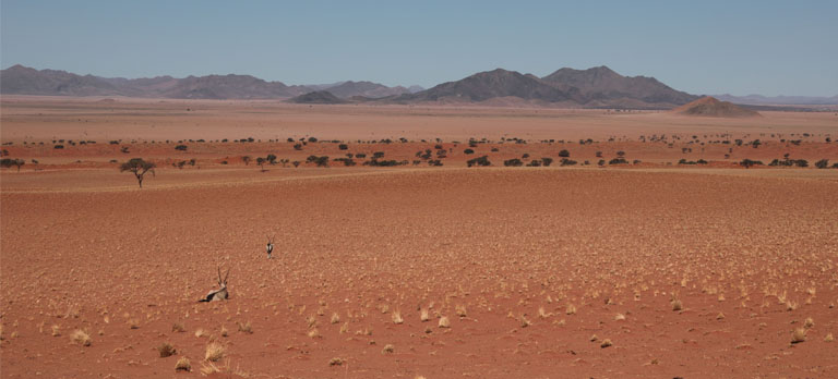auf dem toktokkie-trail, namibia, september 2024